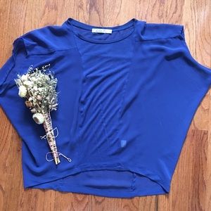 Blue Sheer Blouse Purchased from Nordstrom